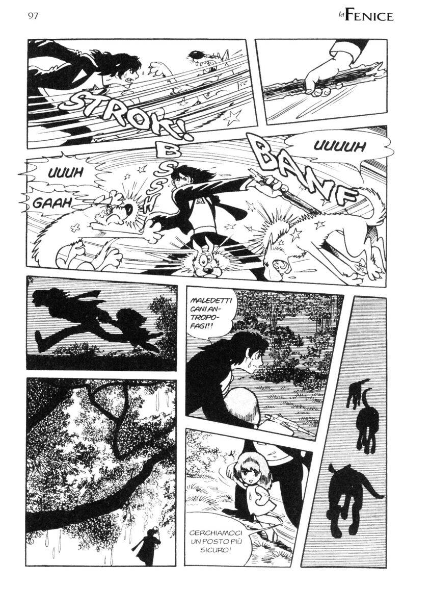 Read La fenice Manga Online