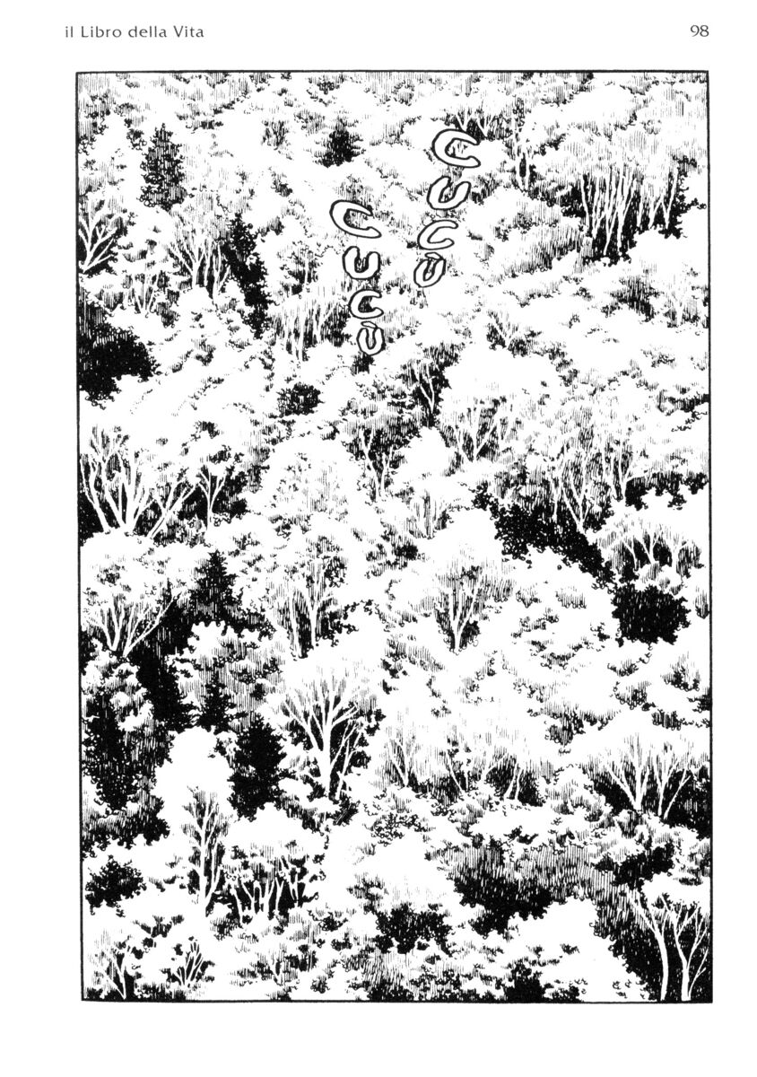 Read La fenice Manga Online