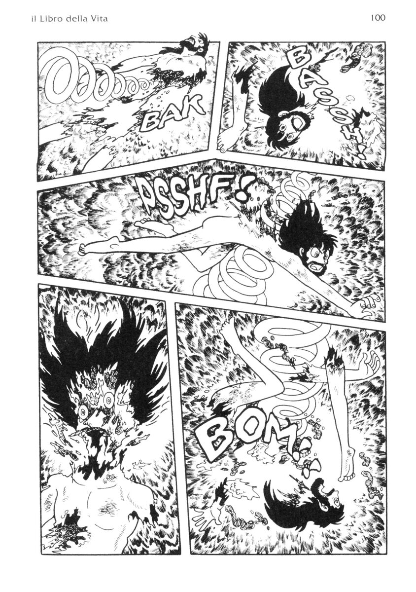 Read La fenice Manga Online