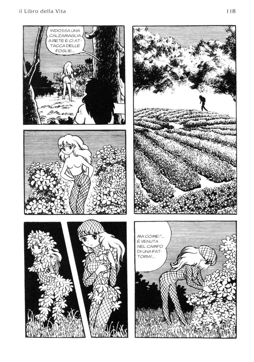 Read La fenice Manga Online