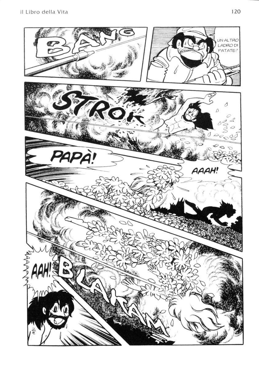 Read La fenice Manga Online