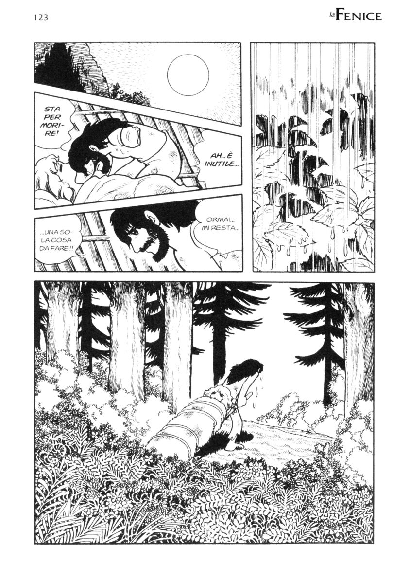 Read La fenice Manga Online