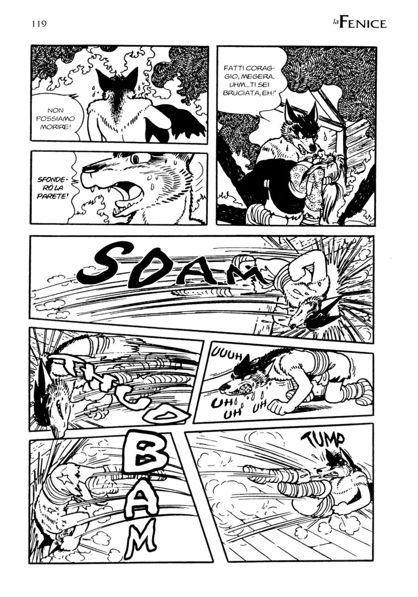 Read La fenice Manga Online