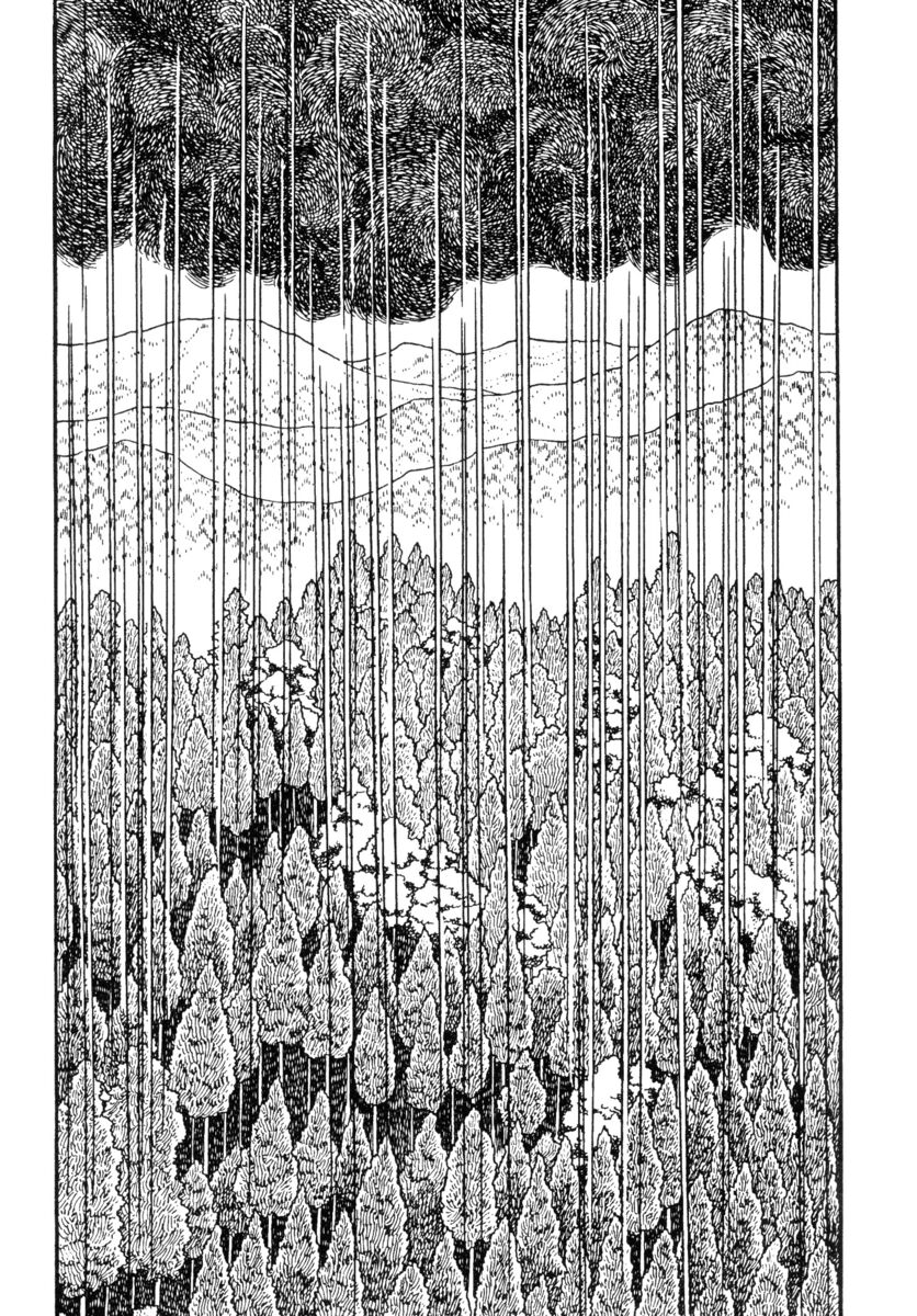 Read La fenice Manga Online