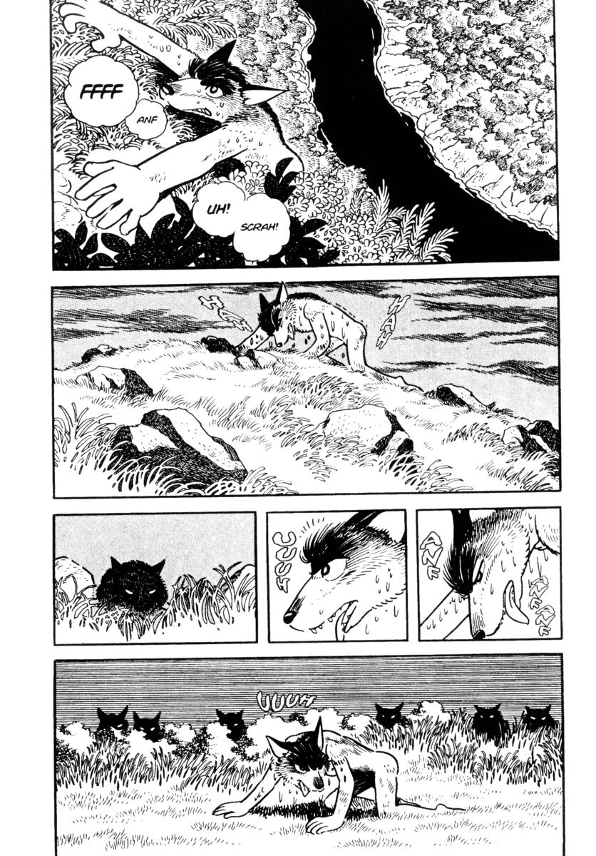 Read La fenice Manga Online