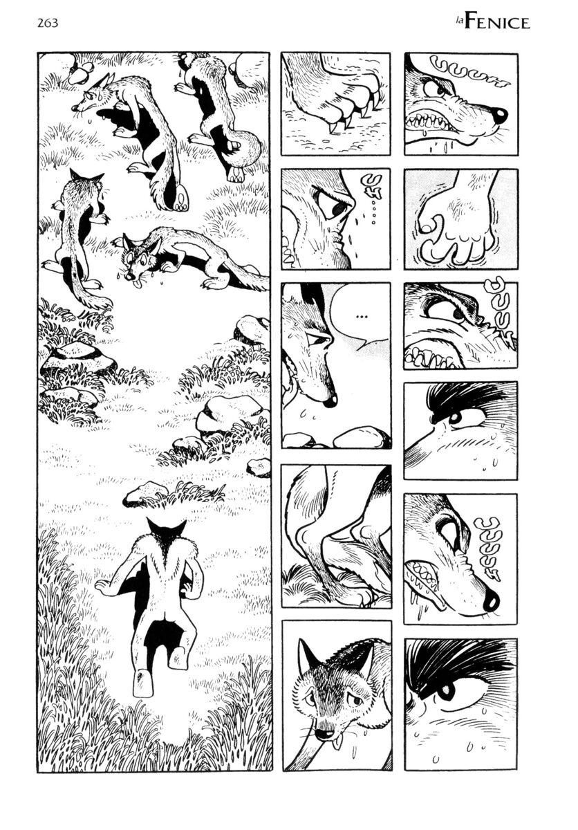 Read La fenice Manga Online