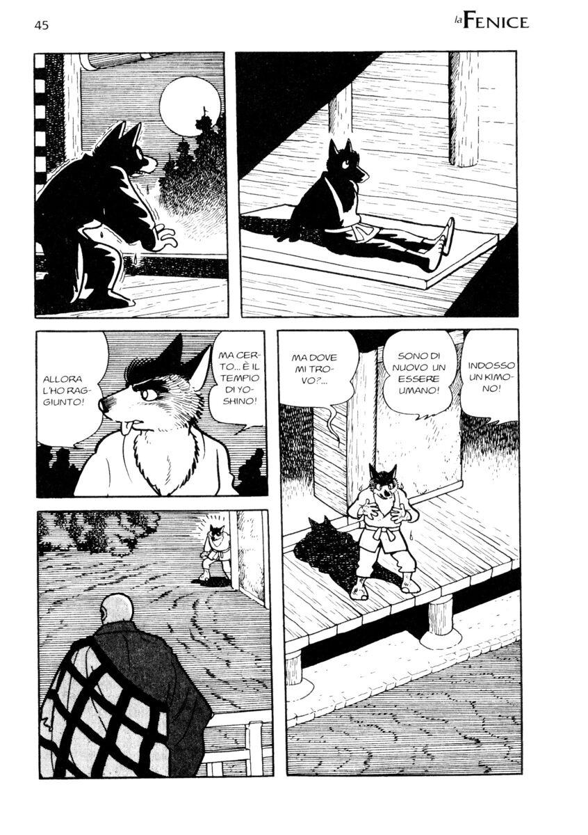 Read La fenice Manga Online