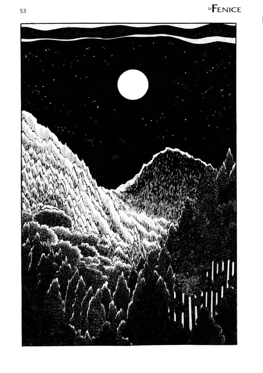 Read La fenice Manga Online