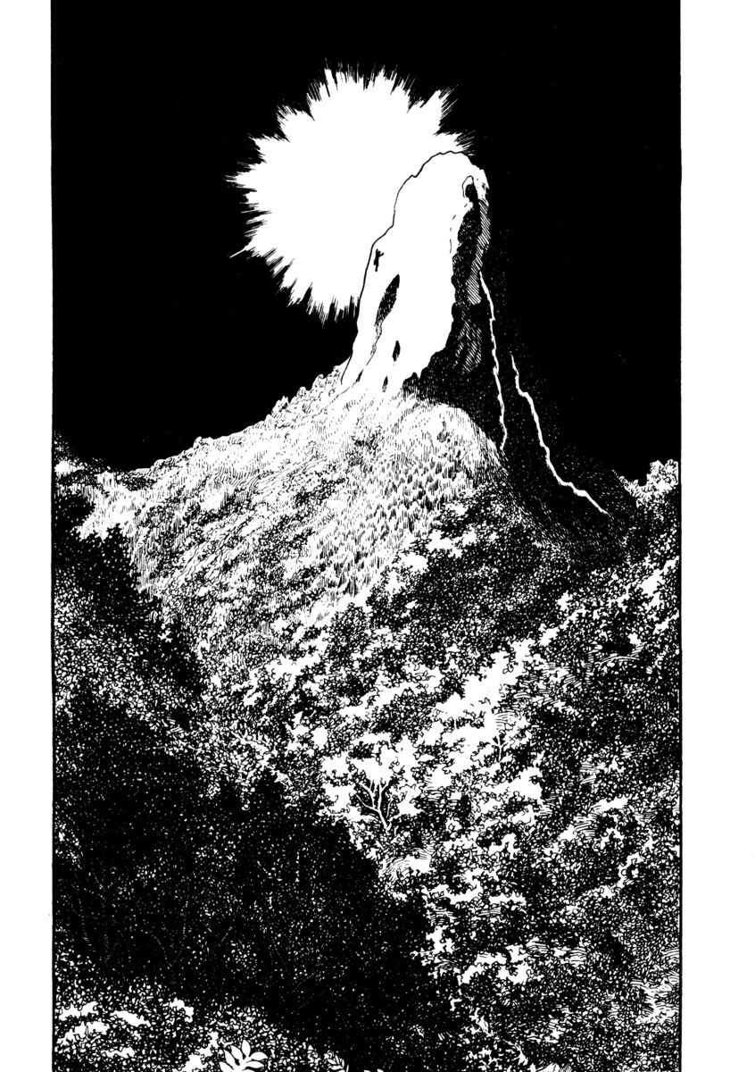 Read La fenice Manga Online