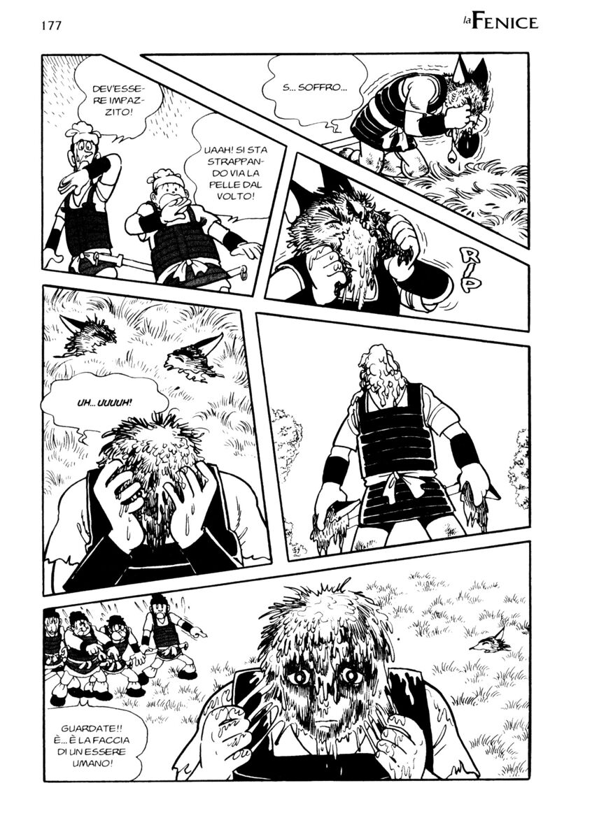 Read La fenice Manga Online