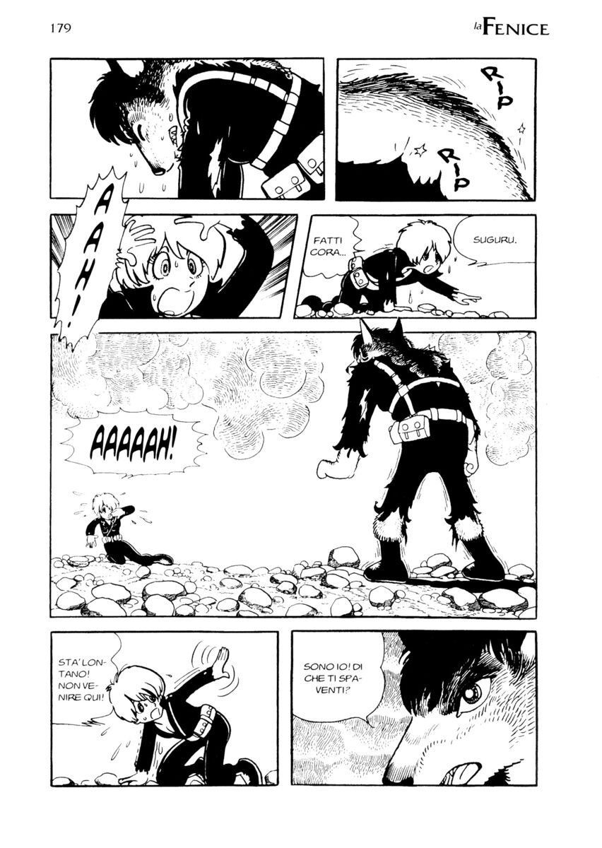 Read La fenice Manga Online