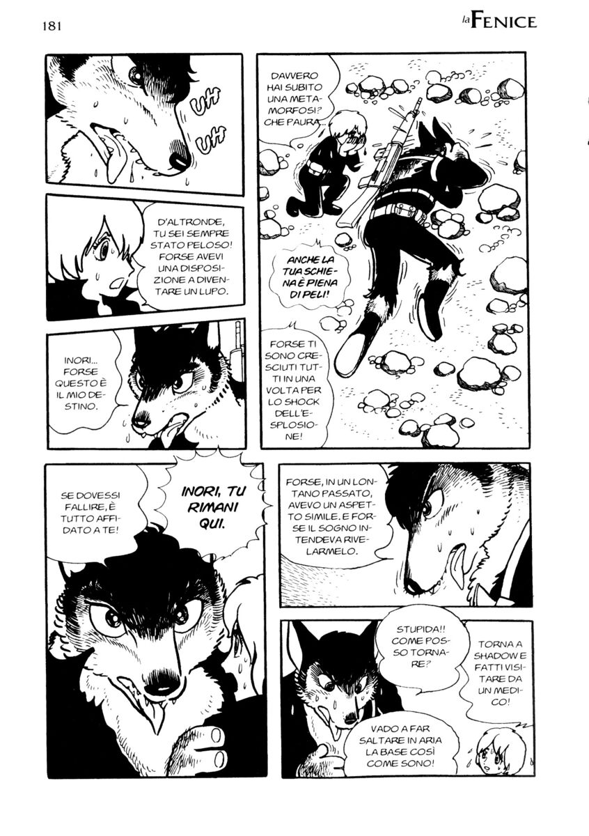 Read La fenice Manga Online