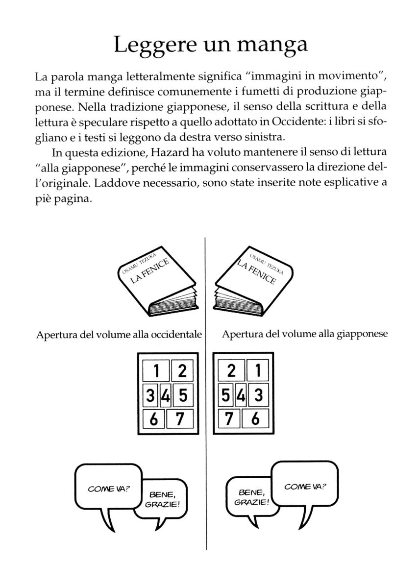 Read La fenice Manga Online