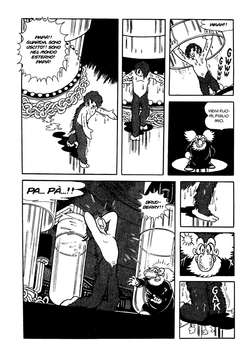 Read La fenice Manga Online