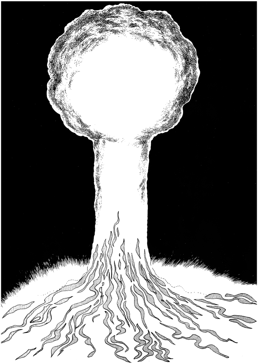 Read La fenice Manga Online