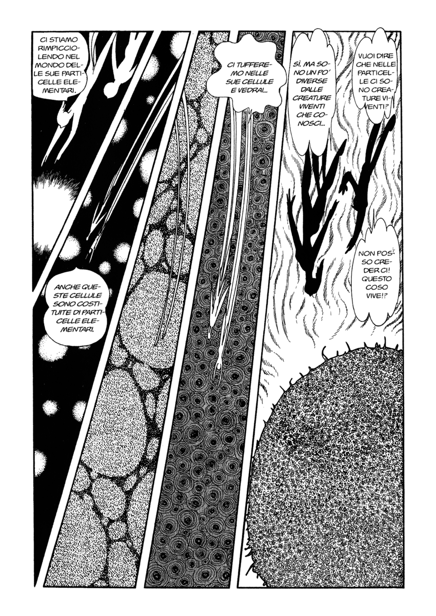 Read La fenice Manga Online