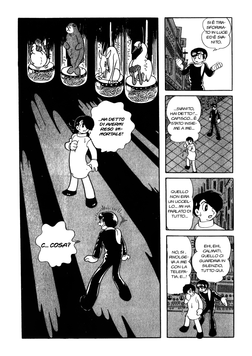 Read La fenice Manga Online