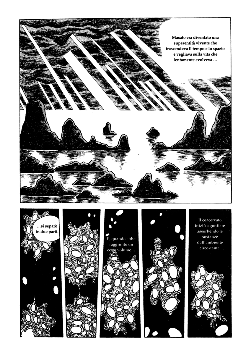 Read La fenice Manga Online