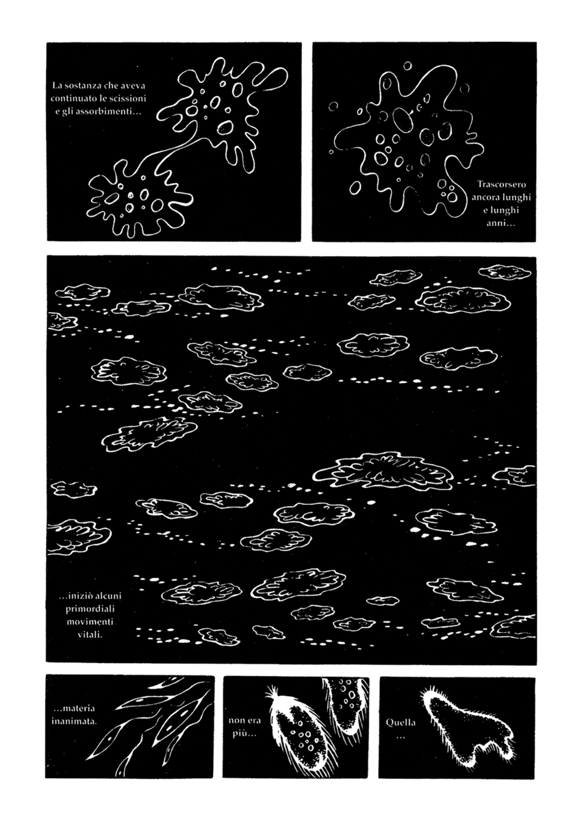 Read La fenice Manga Online