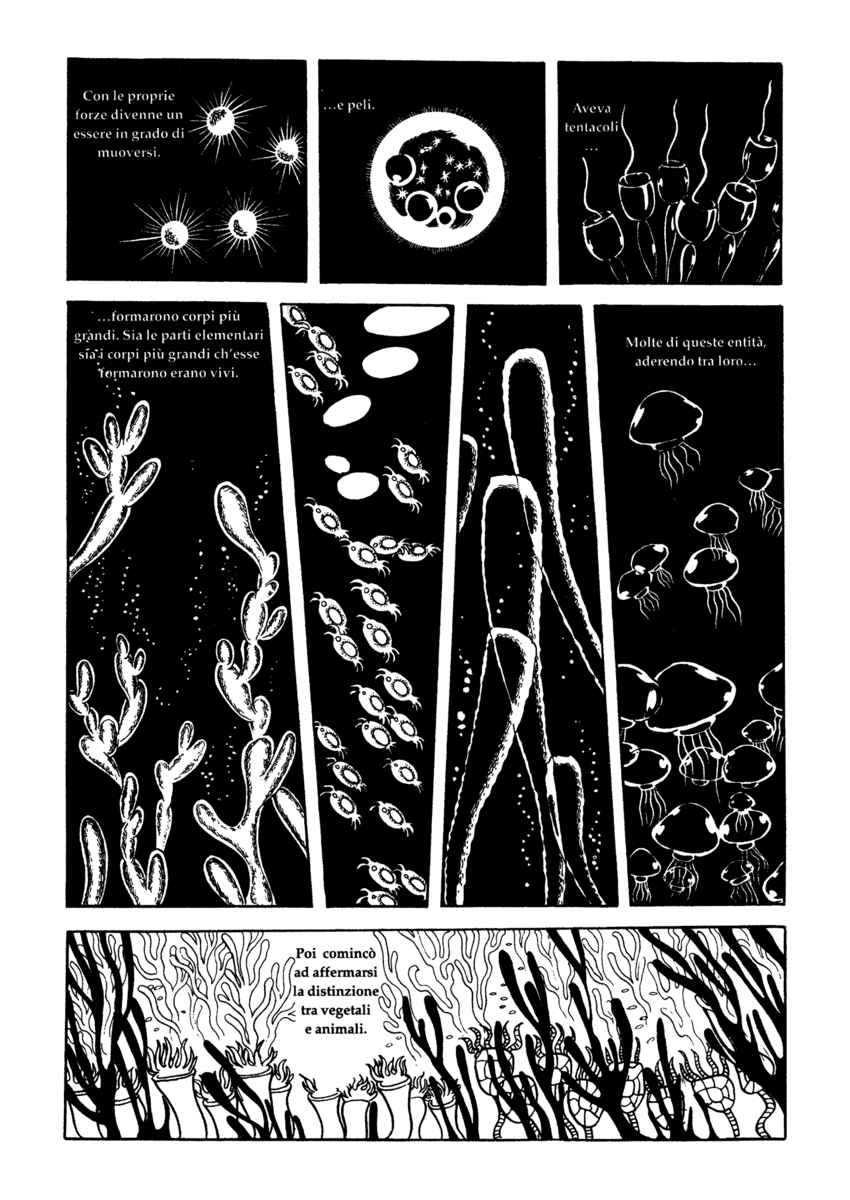 Read La fenice Manga Online