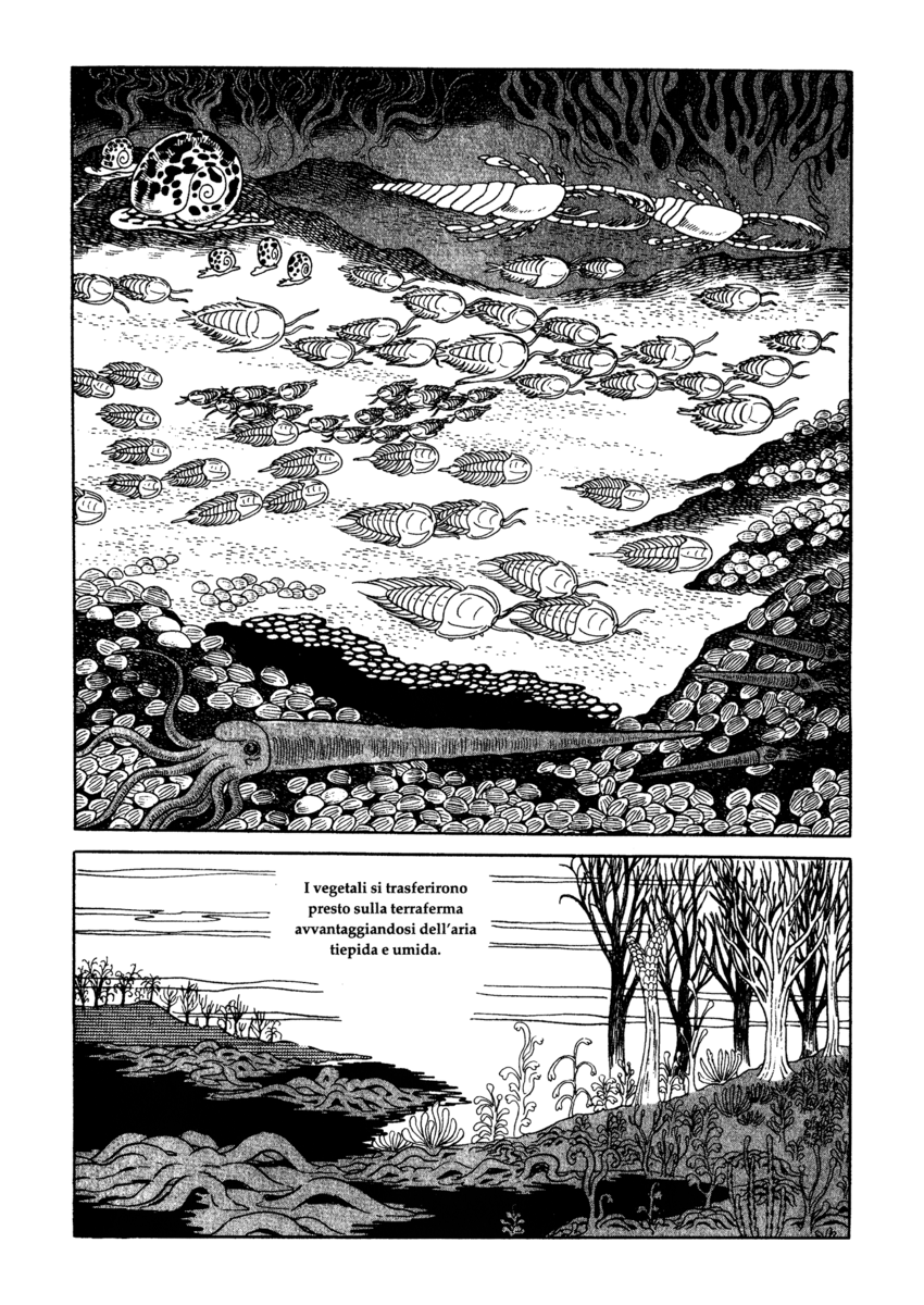 Read La fenice Manga Online