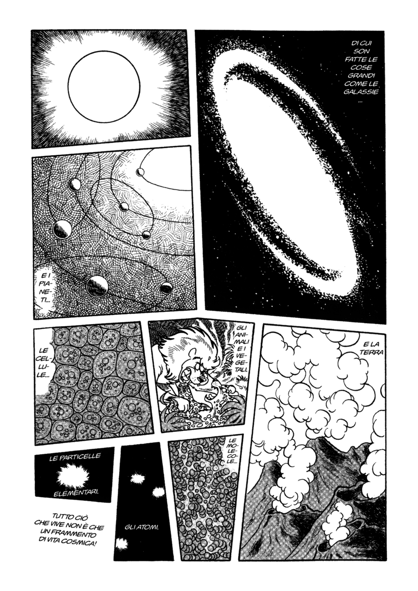 Read La fenice Manga Online