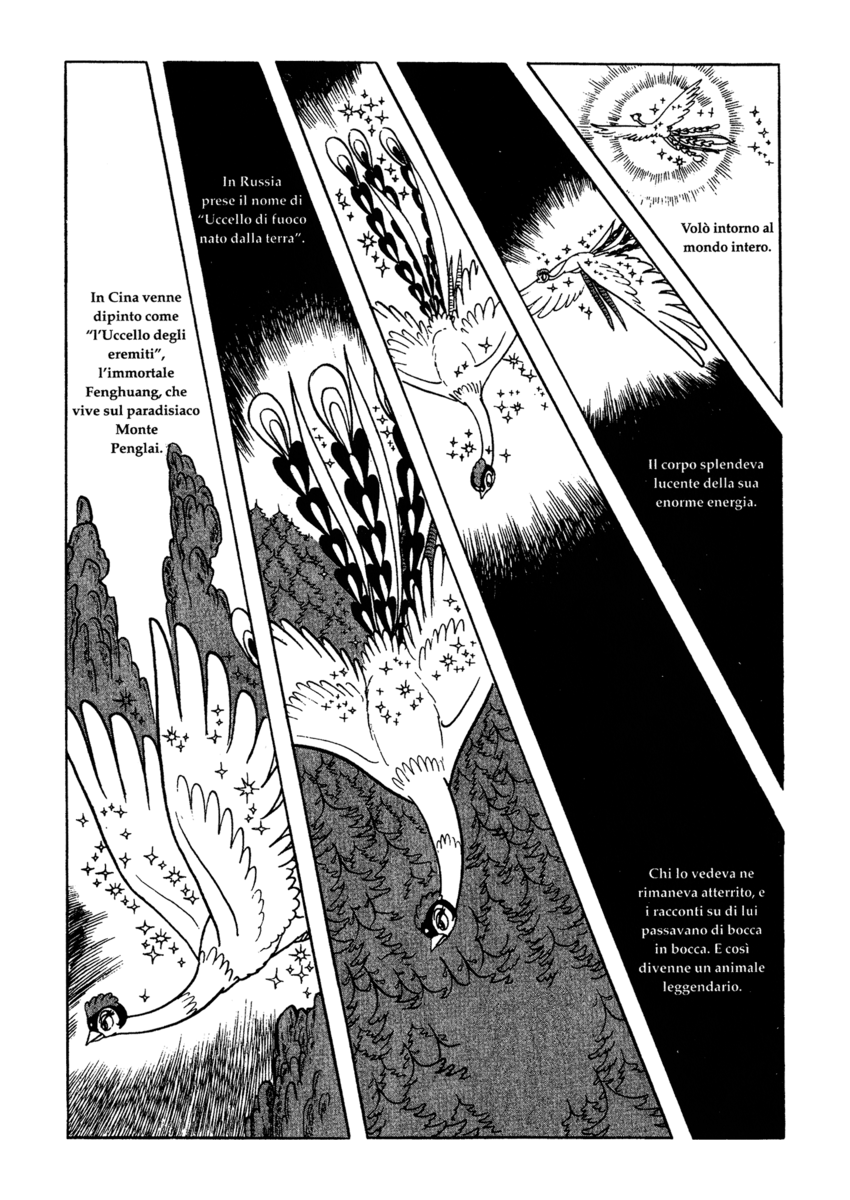 Read La fenice Manga Online