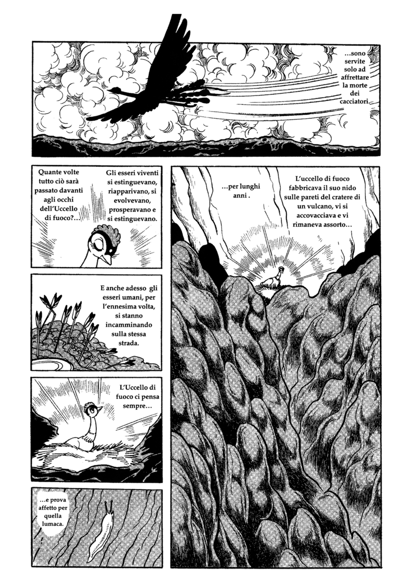 Read La fenice Manga Online