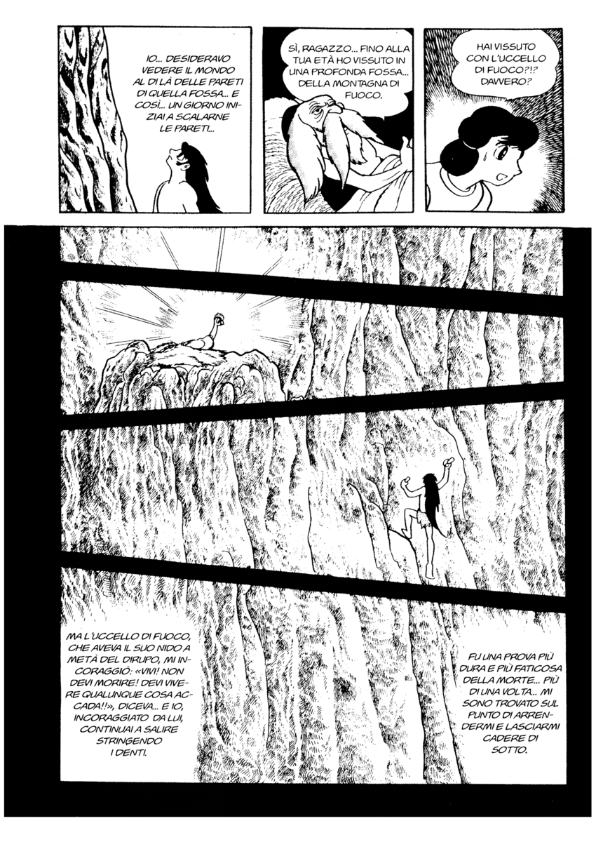 Read La fenice Manga Online