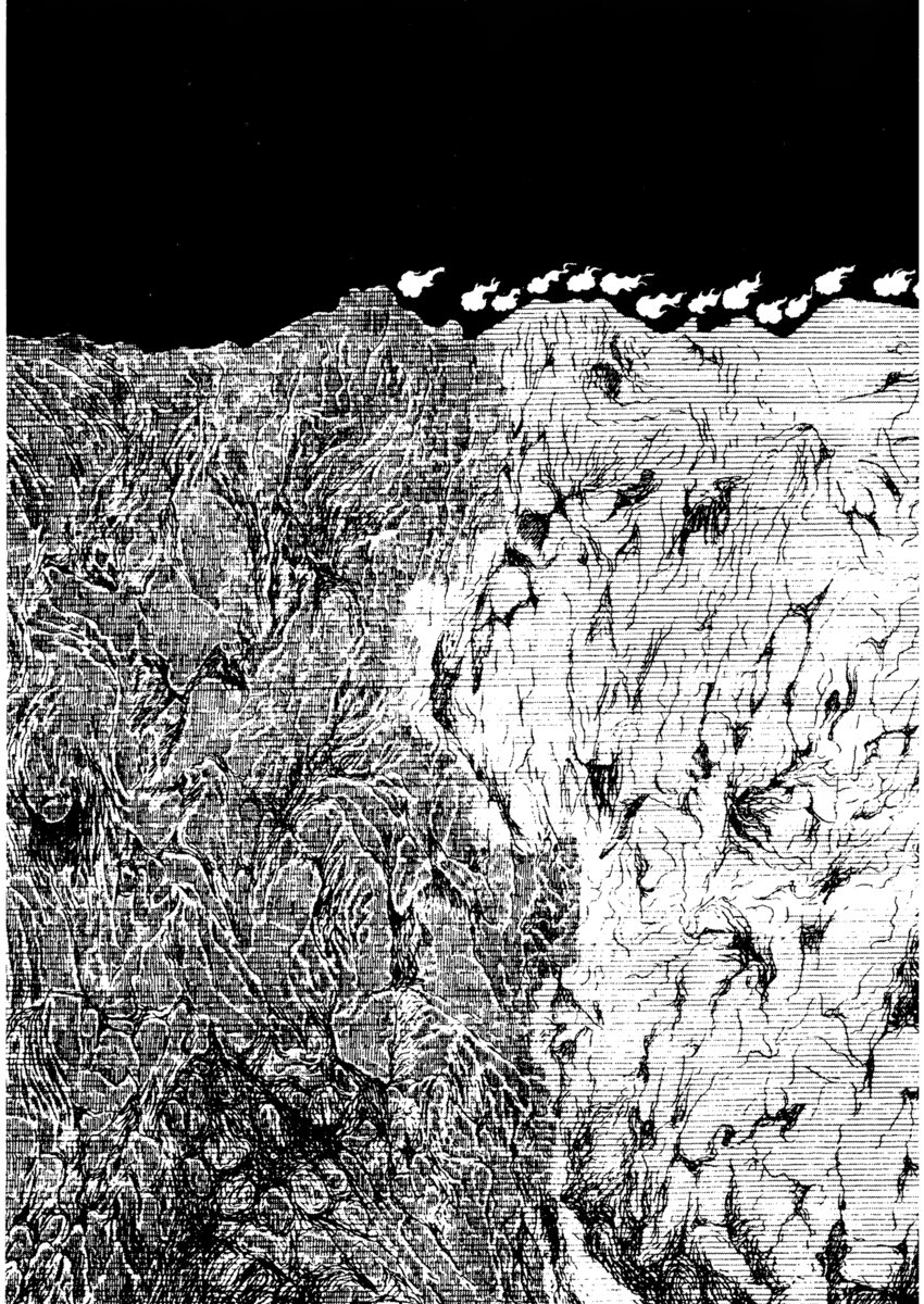 Read La fenice Manga Online