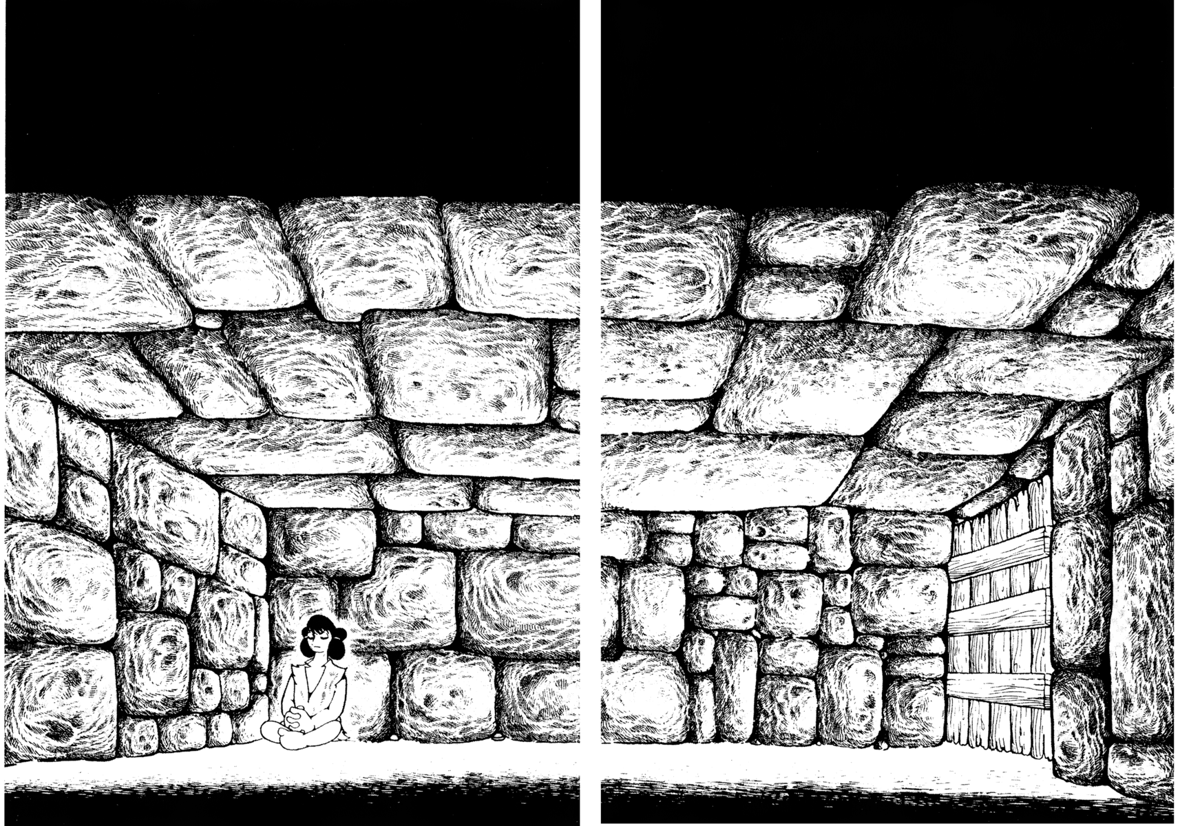 Read La fenice Manga Online