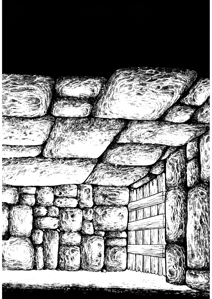 Read La fenice Manga Online