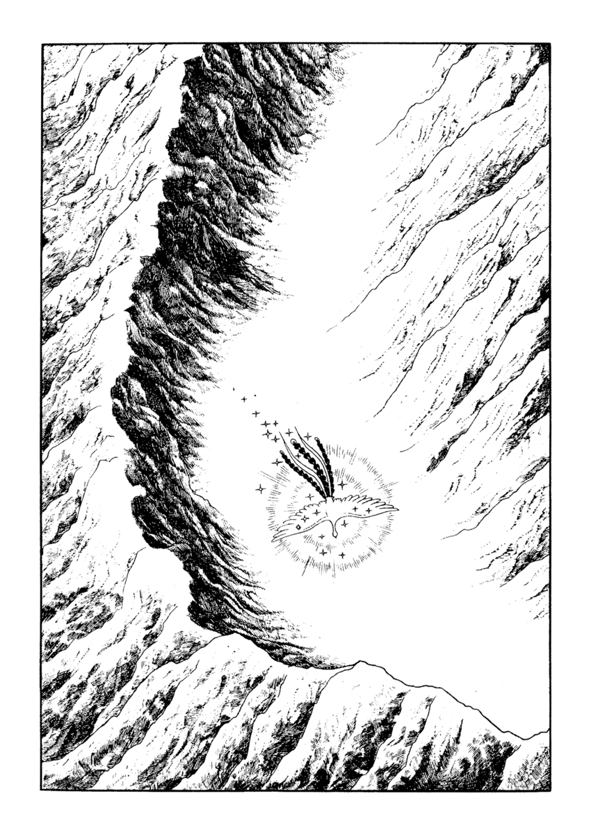 Read La fenice Manga Online