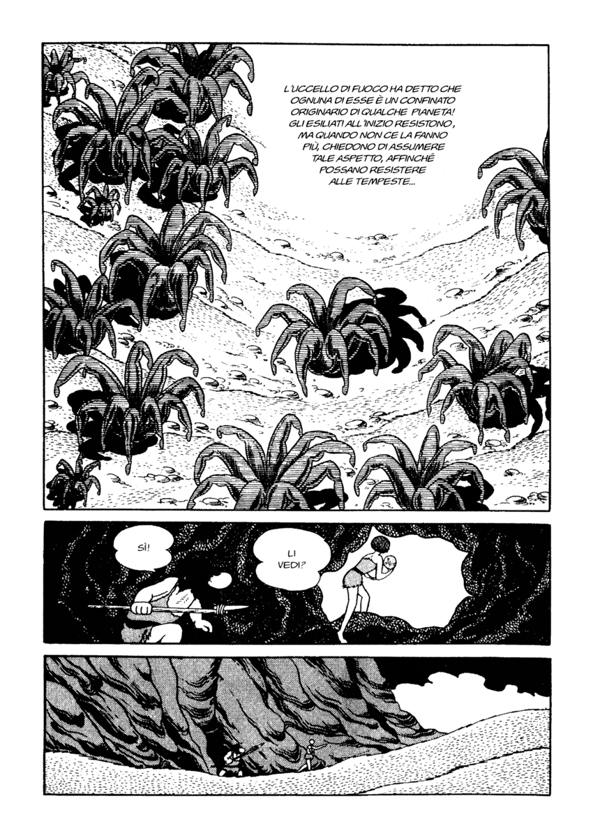 Read La fenice Manga Online