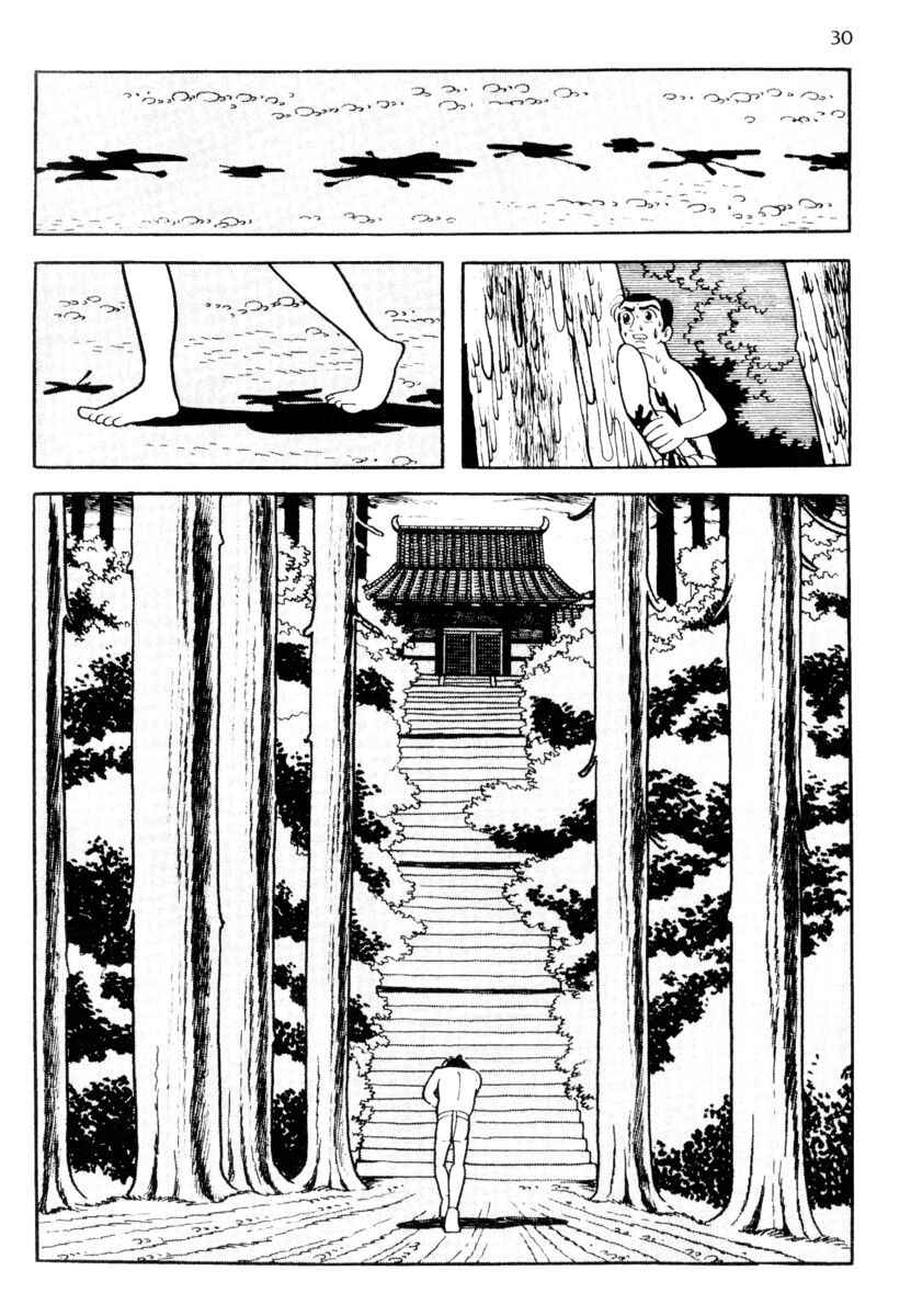 Read La fenice Manga Online