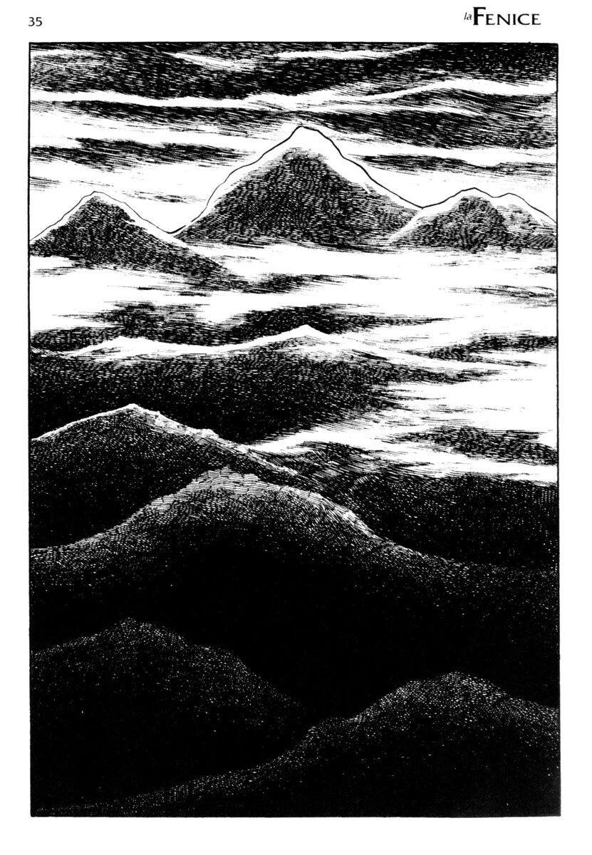 Read La fenice Manga Online