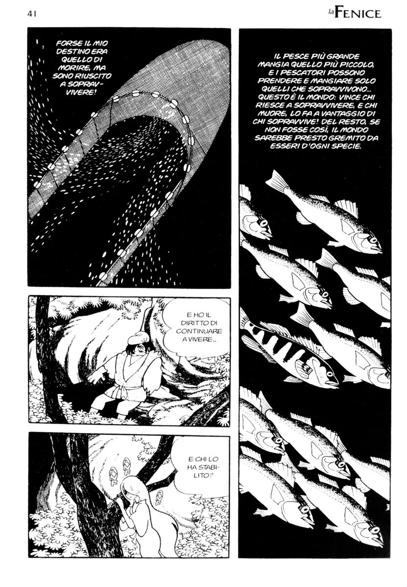 Read La fenice Manga Online