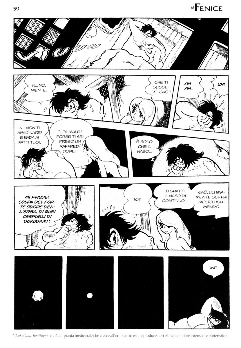 Read La fenice Manga Online