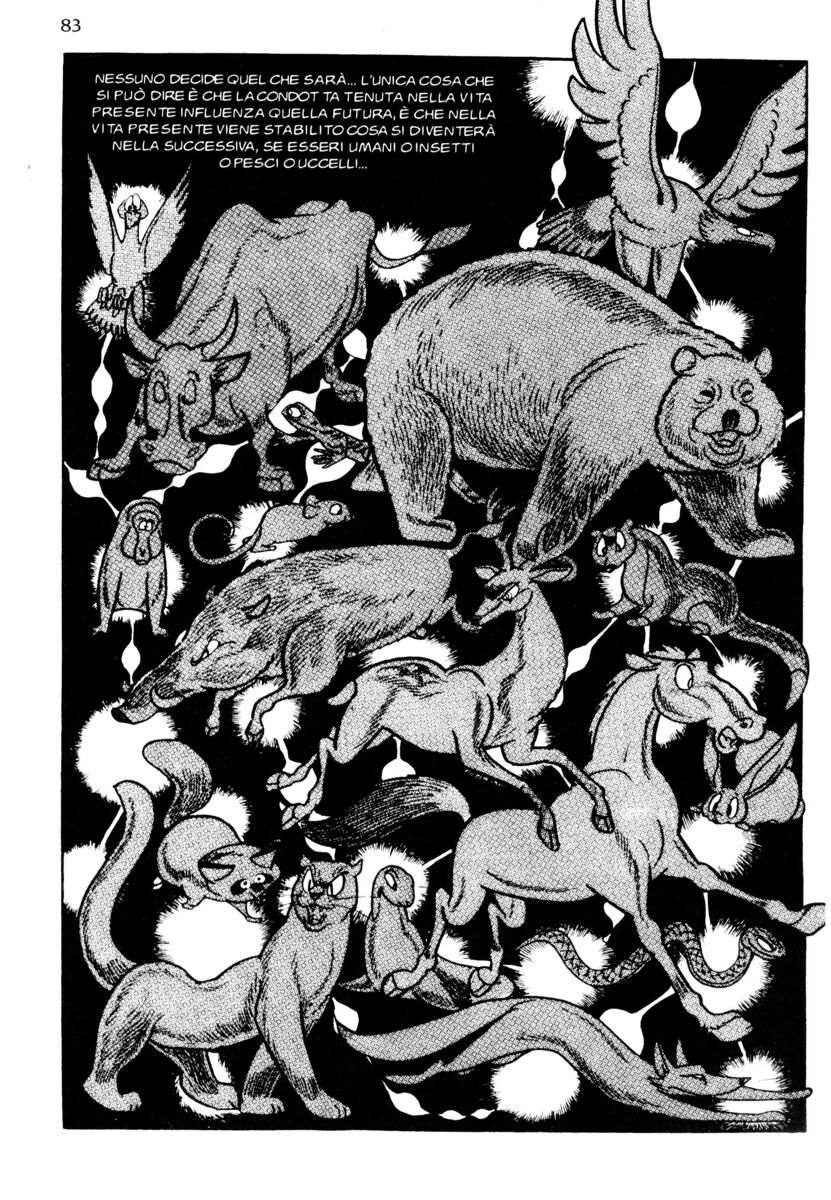 Read La fenice Manga Online