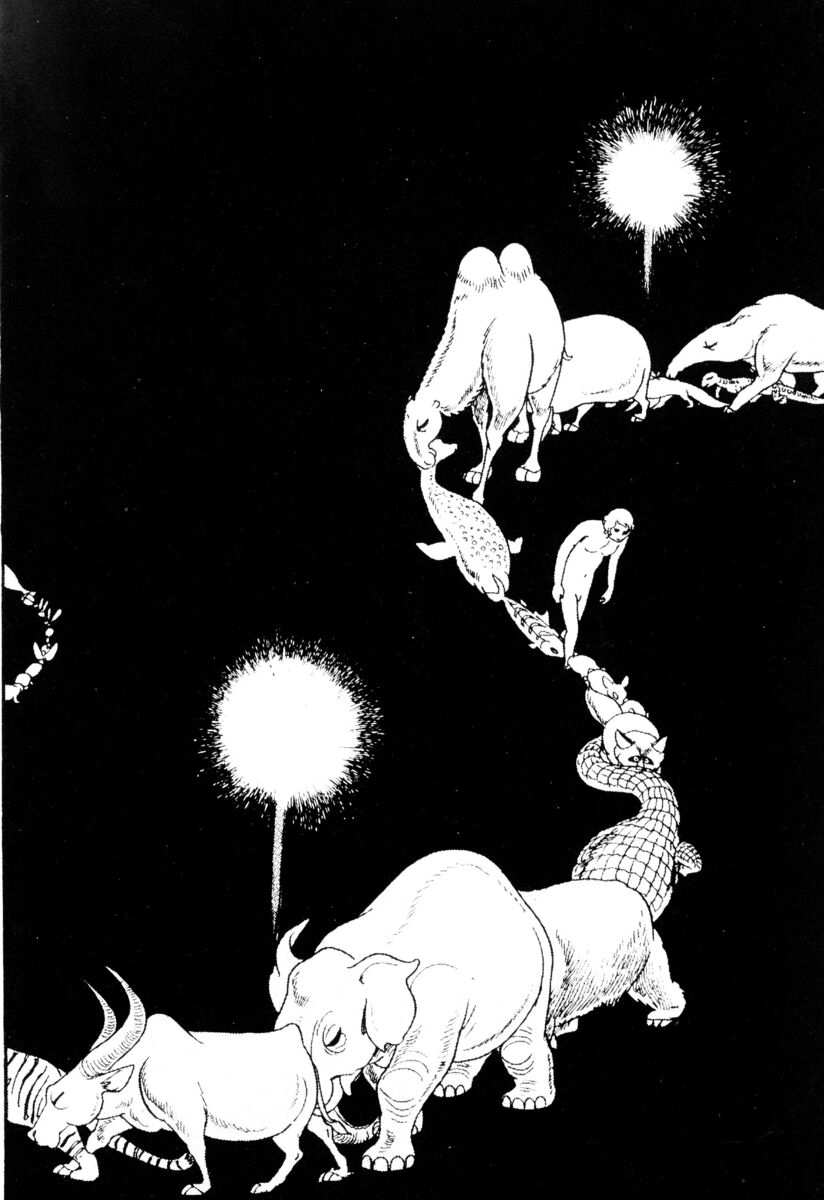 Read La fenice Manga Online