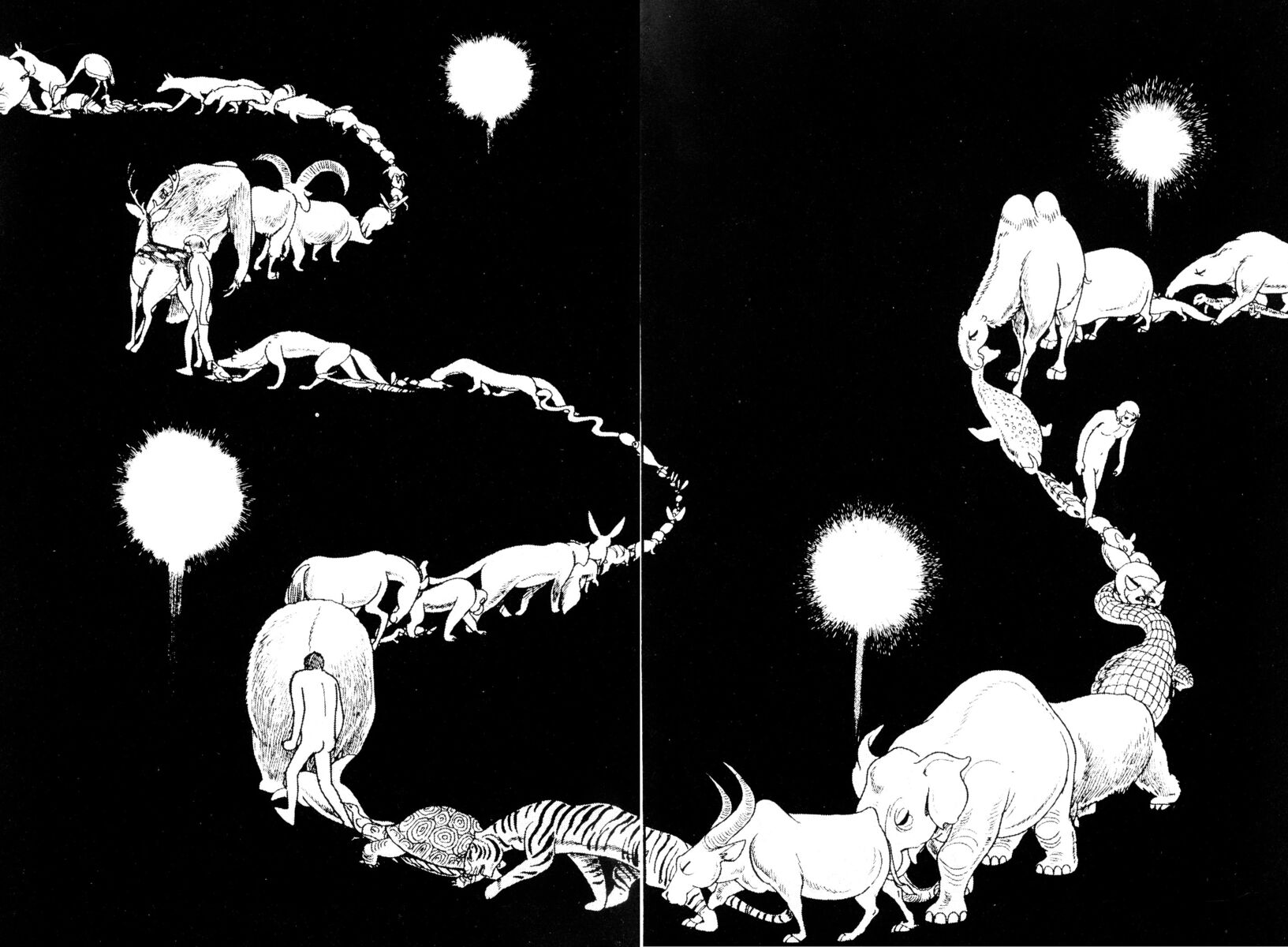 Read La fenice Manga Online