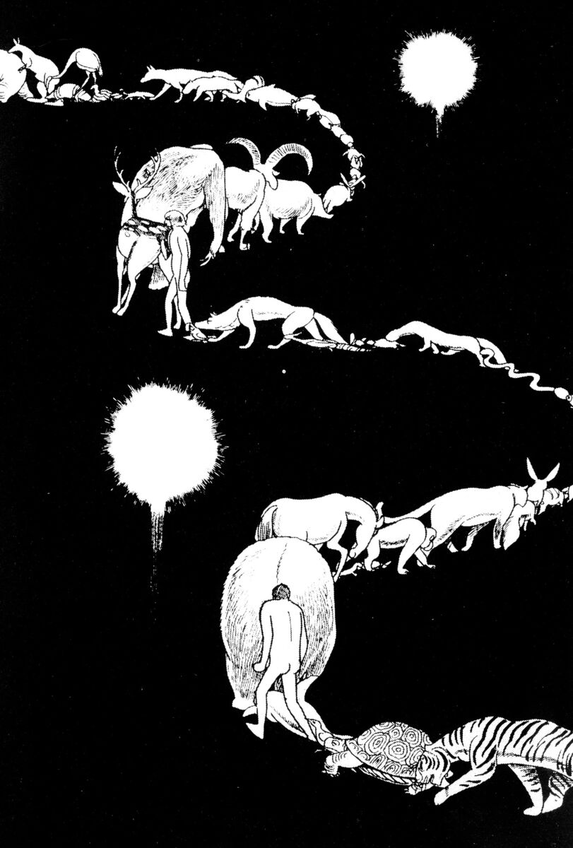 Read La fenice Manga Online