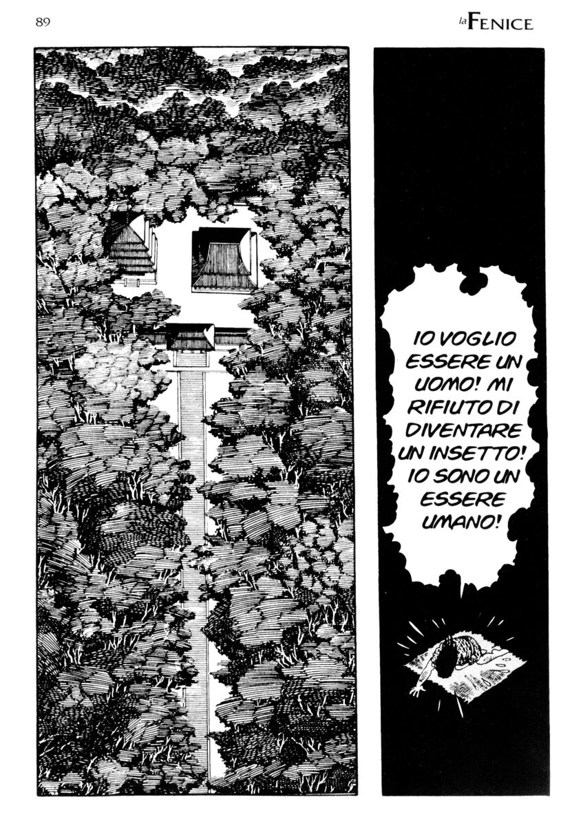 Read La fenice Manga Online