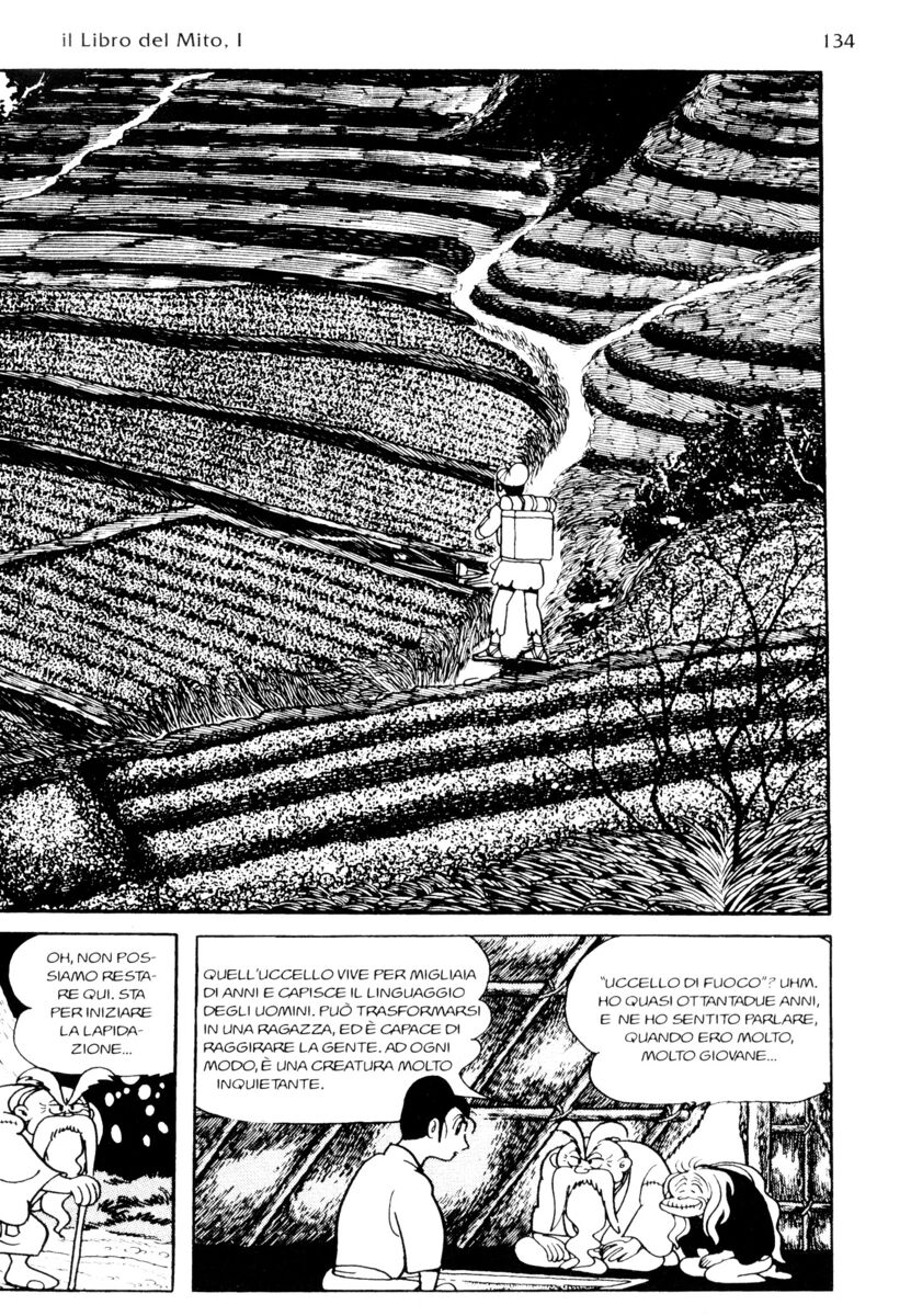 Read La fenice Manga Online