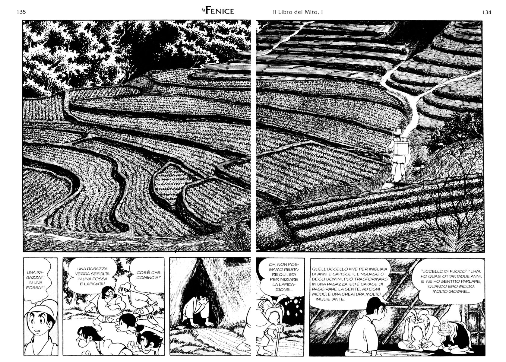 Read La fenice Manga Online