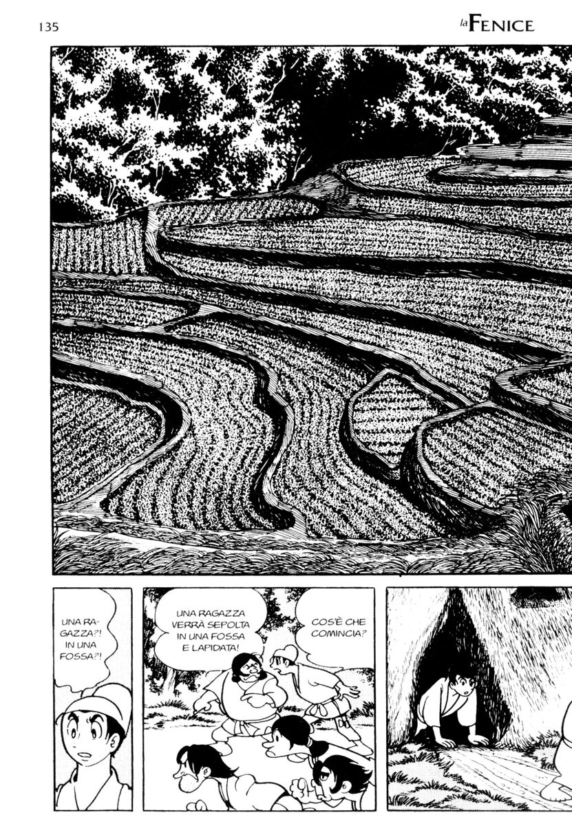 Read La fenice Manga Online