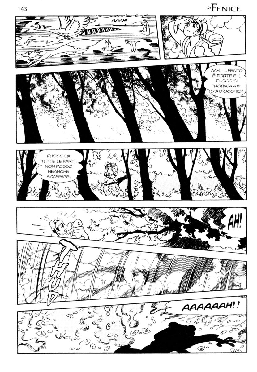 Read La fenice Manga Online