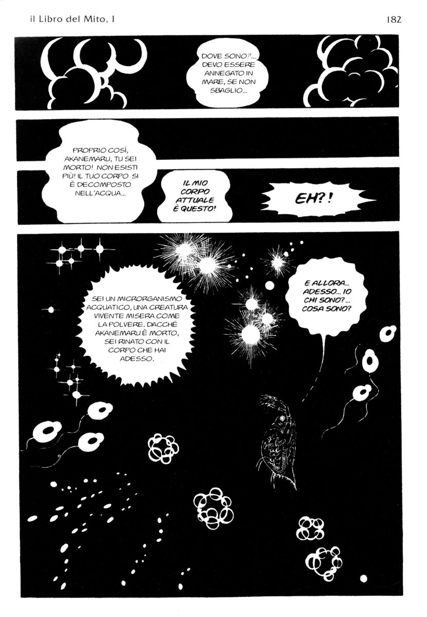 Read La fenice Manga Online