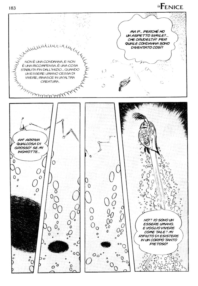 Read La fenice Manga Online