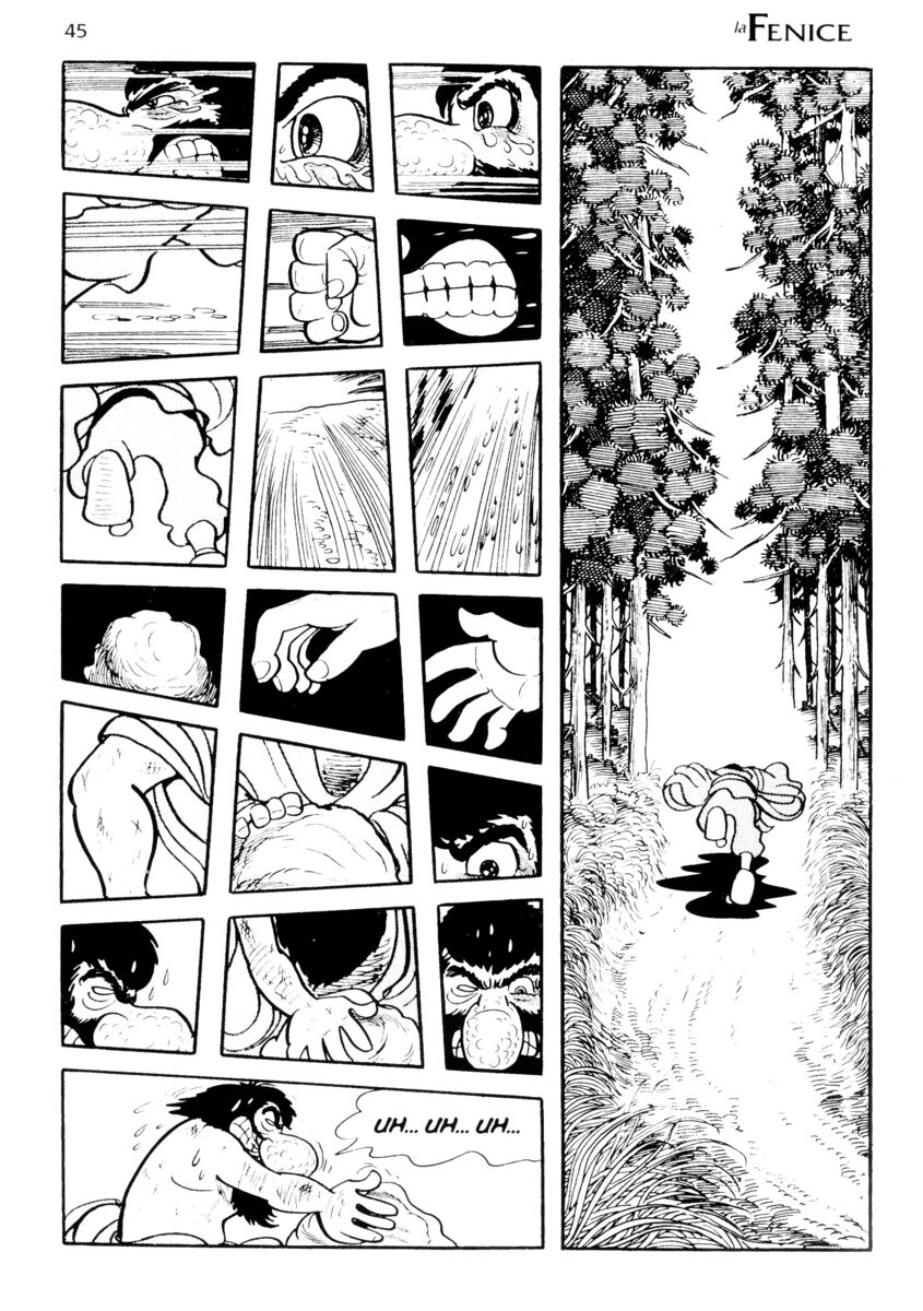 Read La fenice Manga Online